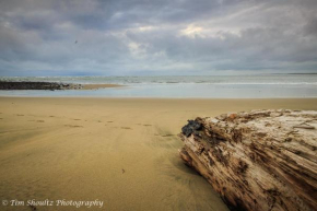 Whare Manu Boutique Cottage, Invercargill